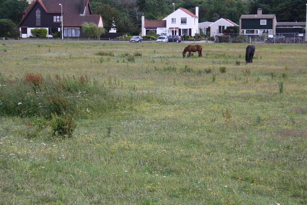 Villa 'T Haasduin Wijk aan Zee Extérieur photo
