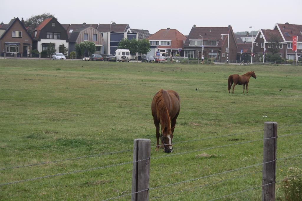 Villa 'T Haasduin Wijk aan Zee Extérieur photo